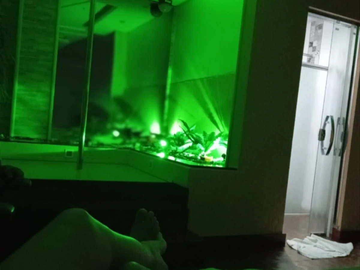 Minhas fotos secreta