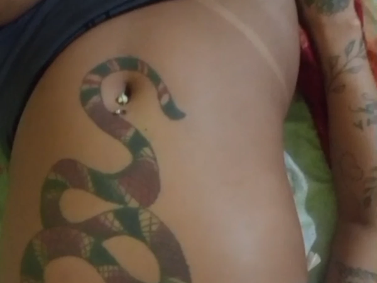 Cobra🐍