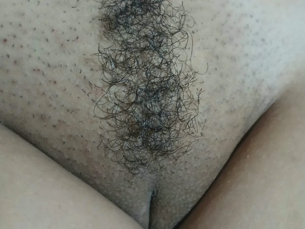 Suculenta